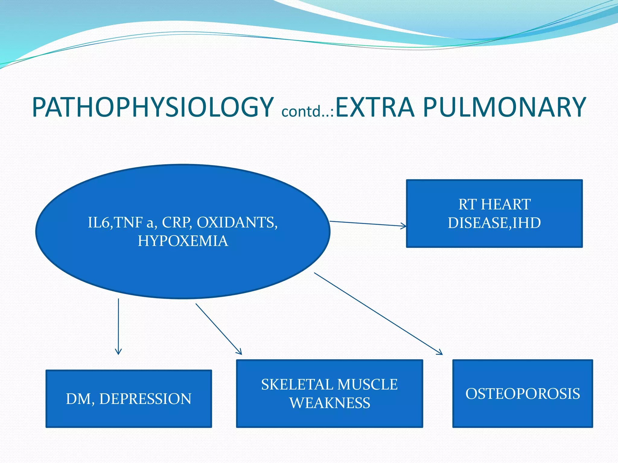 PATHOPHYSIOLOGY contd..:EXTRA PULMONARY
IL6,TNF a, CRP, OXIDANTS,
HYPOXEMIA
RT HEART
DISEASE,IHD
SKELETAL MUSCLE
WEAKNESS
OSTEOPOROSISDM, DEPRESSION
 