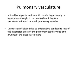 Pulmonary vasculature
• Intimal hyperplasia and smooth muscle hypertrophy or
hyperplasia thought to be due to chronic hypoxic
vasoconstriction of the small pulmonary arteries
• Destruction of alveoli due to emphysema can lead to loss of
the associated areas of the pulmonary capillary bed and
pruning of the distal vasculature
 