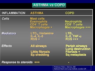 Professor Peter J. Barnes, MD
National Heart and Lung Institute, London UK
 
