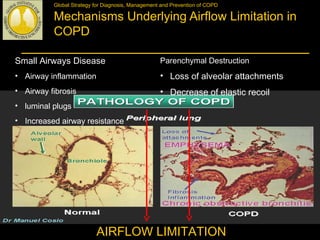 Global Strategy for Diagnosis, Management and Prevention of COPD
Mechanisms Underlying Airflow Limitation in
COPD
Small Airways Disease
• Airway inflammation
• Airway fibrosis
• luminal plugs
• Increased airway resistance
Parenchymal Destruction
• Loss of alveolar attachments
• Decrease of elastic recoil
AIRFLOW LIMITATION
 