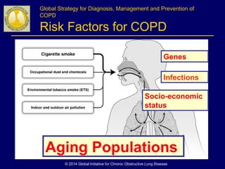 Global Strategy for Diagnosis, Management and Prevention of
COPD
Risk Factors for COPD
Genes
Infections
Socio-economic
status
Aging Populations
© 2014 Global Initiative for Chronic Obstructive Lung Disease
 