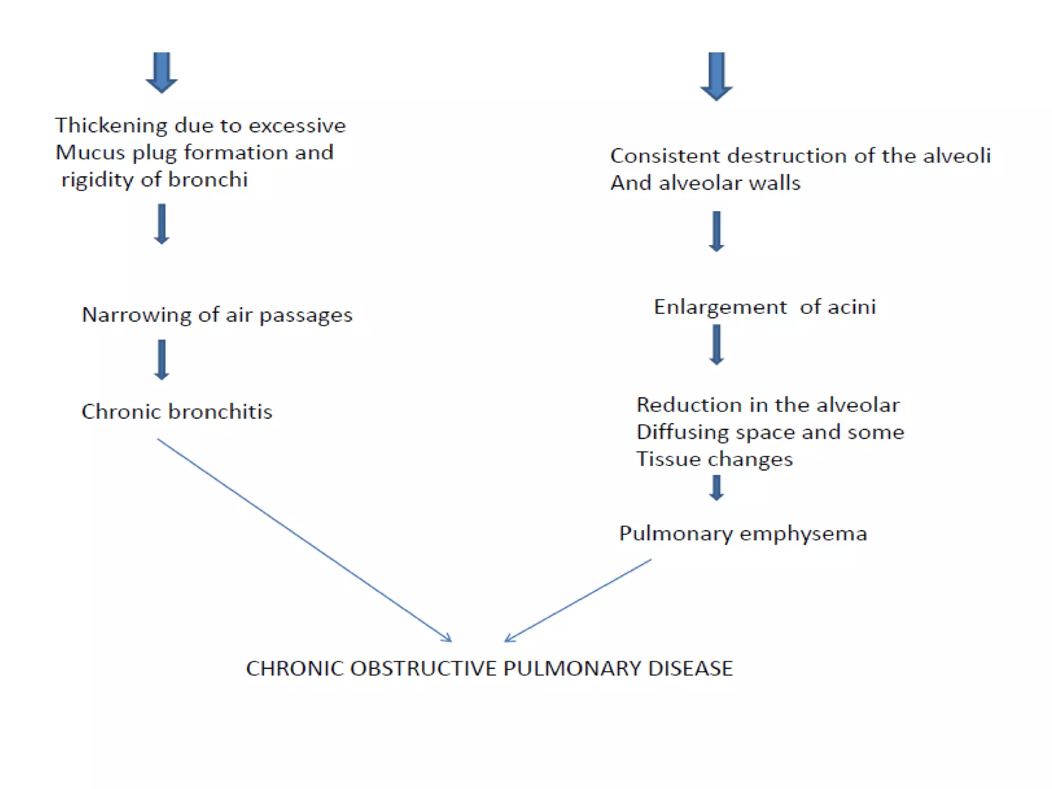 CASE PRESENTATION ON COPD with RV FAILURE | PPTX