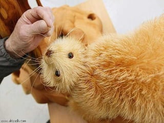 Sergei Bobkov, sculpteur hors du commun