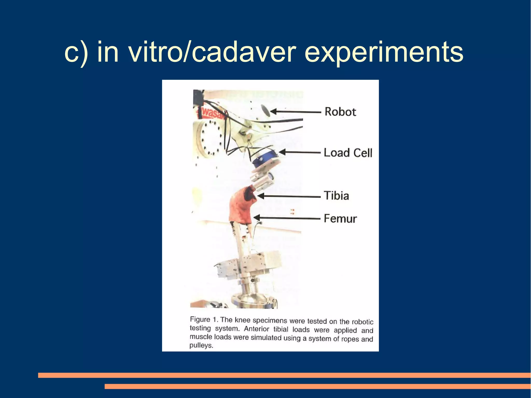 c) in vitro/cadaver experiments
 