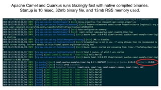 Apache Camel and Quarkus runs blazingly fast with native compiled binaries.
Startup is 10 msec, 32mb binary file, and 13mb RSS memory used.
 