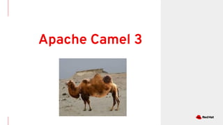 Apache Camel 3
 