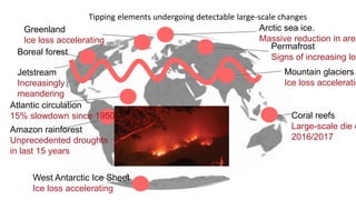 Arctic sea ice.
Massive reduction in area
Greenland
Ice loss accelerating
Permafrost
Signs of increasing los
Mountain glaciers
Ice loss acceleratin
Coral reefs
Large-scale die o
2016/2017
Boreal forest
Jetstream
Increasingly
meandering
West Antarctic Ice Sheet
Ice loss accelerating
Amazon rainforest
Unprecedented droughts
in last 15 years
Atlantic circulation
15% slowdown since 1950s
Tipping elements undergoing detectable large-scale changes
 