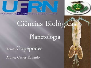 Ciências Biológicas 
Planctologia 
Tema: Copépodes 
Aluno: Carlos Eduardo 
 