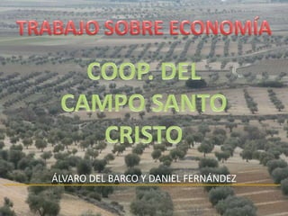 ÁLVARO DEL BARCO Y DANIEL FERNÁNDEZ
 