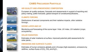 Copernicus Atmosphere Monitoring Service - An introduction | PDF