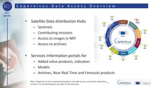 Copernicus general overview | PDF