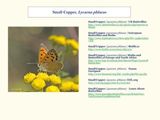 Small Copper, Lycaenae phlaeas/ UK Butterflies
http://www.ukbutterflies.co.uk/species.php?species=p
hlaeas
Small Copper, Lycaenae phlaeas / Euiropean
Butterflies and Moths
http://www.lepidoptera.eu/show.php?ID=134&country
=XX
Small Copper, Lycaenae phlaeas / Biolib.cz
http://www.biolib.cz/en/taxon/id51371/
Small Copper, Lycaenae phleaes/ Moths and
Butterflies of Europe and North Africa
http://www.leps.it/indexjs.htm?SpeciesPages/LycaenP
hlaeas.htm
Small Copper, Lycaena phlaeas/ Fauna
Europaea
http://www.faunaeur.org/full_results.php?id=441185
Small Copper, Lycaena phlaeas/ EOL.org
http://eol.org/pages/262721/overview
Small Copper, Lycaenae phleaes/ Learn About
Butterflies
http://www.learnaboutbutterflies.com/Britain%20-
%20Lycaena%20phlaeas.htm
Small Copper, Lycaena phlaeas
 