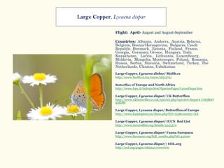 Flight: April- August and August-September
Countries: Albania, Andorra, Austria, Belarus,
Belgium, Bosnia-Herzegovina, Bulgaria, Czech
Republic, Denmark, Estonia, Finland, France,
Georgia, Germany, Greece, Hungary, Italy,
Kazakhstan, Latvia, Lithuania, Luxembourg,
Moldovia, Mongolia, Montenegro, Poland, Romania,
Russia, Serbia, Slovakia, Switzerland, Turkey, The
Netherlands, Ukraine, Uzbekistan
•
Large Copper, Lycaena disbar/ Biolib.cz
http://www.biolib.cz/en/taxon/id51373/
Butterflies of Europe and North Africa
http://www.leps.it/indexjs.htm?SpeciesPages/LycaeDispa.htm
Large Copper, Lycaena dispar/ UK Butterflies
http://www.ukbutterflies.co.uk/species.php?species=dispar#.U6QB6O
aAKSH
Large Copper, Lycaena dispar/ Butterflies of Europe
http://www.lepidoptera.eu/show.php?ID=131&country=XX
Large Copper, Lycaena dispar/ IUCN Red List
http://www.iucnredlist.org/details/12433/0
Large Copper, Lycaena dispar/ Fauna Europaea
http://www.faunaeur.org/full_results.php?id=441190
Large Copper, Lycaena dispar// EOL.org
http://eol.org/pages/265242/overview
Large Copper, Lycaena dispar
 