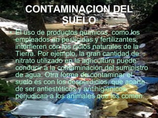 CONTAMINACION DEL SUELO El uso de productos químicos, como los empleados en pesticidas y fertilizantes, interfieren con los ciclos naturales de la Tierra. Por ejemplo, la gran cantidad de nitrato utilizado en la agricultura puede conducir a la contaminación del suministro de agua. Otra forma de contaminar el suelo es con los desperdicios, que aparte de ser antiestéticos y antihigiénicos, perjudican a los animales que los comen . 
