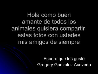 Hola como buen amante de todos los animales quisiera compartir  estas fotos con ustedes mis amigos de siempre Espero que les guste Gregory Gonzalez Acevedo 