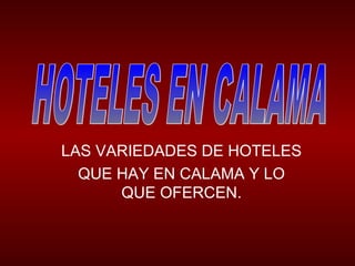 LAS VARIEDADES DE HOTELES
QUE HAY EN CALAMA Y LO
QUE OFERCEN.
 
