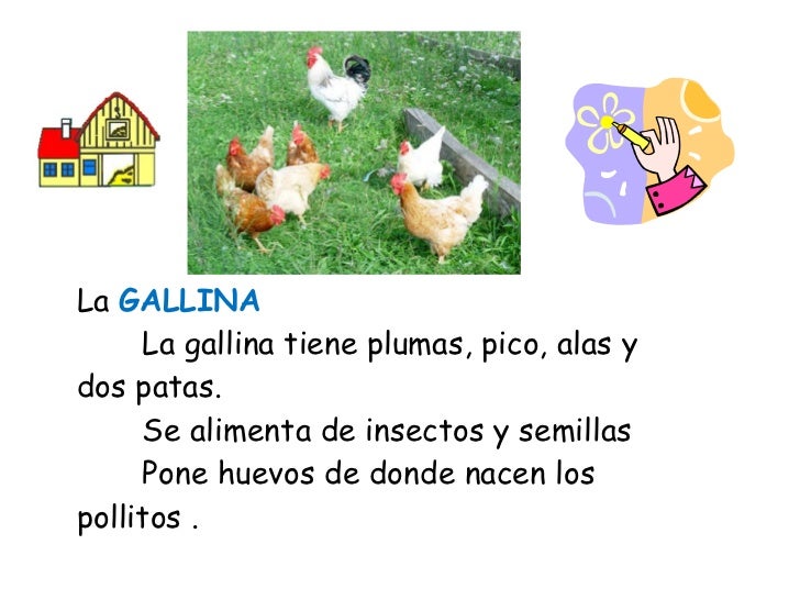 los animales de la granja