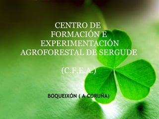 CENTRO DE  FORMACIÓN E  EXPERIMENTACIÓN AGROFORESTAL DE SERGUDE (C.F.E.A.) BOQUEIXÓN ( A CORUÑA) 