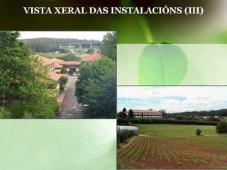 VISTA XERAL DAS INSTALACIÓNS (III) 