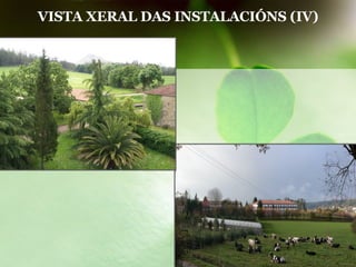 VISTA XERAL DAS INSTALACIÓNS (IV) 