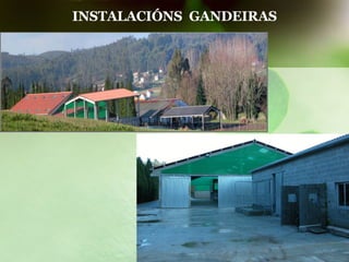 INSTALACIÓNS  GANDEIRAS 
