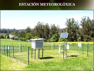 ESTACIÓN METEOROLÓXICA 