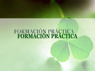 FORMACIÓN PRÁCTICA 