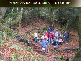 “ DEVESA DA ROGUEIRA” -  O COUREL 