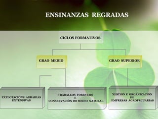 ENSINANZAS  REGRADAS CICLOS FORMATIVOS GRAO  MEDIO GRAO  SUPERIOR EXPLOTACIÓNS  AGRARIAS EXTENSIVAS XESTIÓN E  ORGANIZACIÓN DE EMPRESAS  AGROPECUARIAS TRABALLOS  FORESTAIS  E  CONSERVACIÓN DO MEDIO  NATURAL 