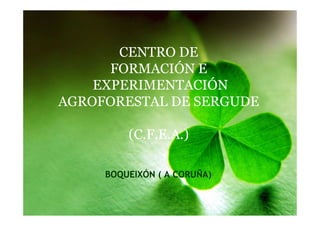 CENTRO DE
      FORMACIÓN E
    EXPERIMENTACIÓN
AGROFORESTAL DE SERGUDE

         (C.F.E.A.)

     BOQUEIXÓN ( A CORUÑA)