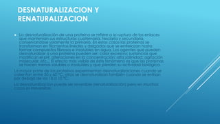 DESNATURALIZACION Y
RENATURALIZACION
 La desnaturalización de una proteina se refiere a la ruptura de los enlaces
que mantenian sus estructuras cuaternaria, terciaria y secundaria,
conservandose solamente la primaria. En estos casos las proteinas se
transforman en filamentos lineales y delgados que se entrelazan hasta
formar compuestos fibrosos e insolubles en agua. Los agentes que pueden
desnaturalizar a una proteina pueden ser: calor excesivo; sustancias que
modifican el pH; alteraciones en la concentración; alta salinidad; agitación
molecular; etc... El efecto más visible de éste fenómeno es que las proteinas
se hacen menos solubles o insolubles y que pierden su actividad biológica.
La mayor parte de las proteinas experimentan desnaturalizaciones cuando se
calientan entre 50 y 60 ºC; otras se desnaturalizan también cuando se enfrian
por debajo de los 10 a 15 ºC.
La desnaturalización puede ser reversible (renaturalización) pero en muchos
casos es irreversible.
 