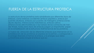 FUERZA DE LA ESTRUCTURA PROTEICA
La estructura de las proteínas esta estabilizada por diferentes tipos de
enlaces, como enlaces covalentes (enlace peptídico, enlace por
puentes disulfuro), enlaces por puentes de hidrógeno (interacciones
dipolo-dipolo), interacciones hidrofóbicas, enlaces salinos
(interacciones electrostáticas) o las fuerzas de los contactos de Van
der Waals. Todos estos tipos de enlaces juegan un importante papel
en la estabilización de la estructura tridimensional de las proteínas.
La fuerza de atracción de los diferentes enlaces que intervienen en la
estabilización de las proteínas se expresa en kcal/mol, y corresponde a
la energía liberada al formar el enlace, o la energía que debe
suministrarse para romper el enlace que es:
 
