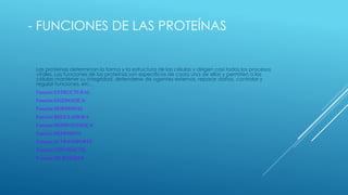 - FUNCIONES DE LAS PROTEÍNAS
Las proteínas determinan la forma y la estructura de las células y dirigen casi todos los procesos
vitales. Las funciones de las proteínas son específicas de cada una de ellas y permiten a las
células mantener su integridad, defenderse de agentes externos, reparar daños, controlar y
regular funciones, etc...
Función ESTRUCTURAL
Función ENZIMATICA
Función HORMONAL
Función REGULADORA
Función HOMEOSTATICA
Función DEFENSIVA
Función de TRANSPORTE
Función CONTRACTIL
Función DE RESERVA
 