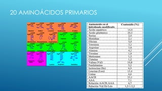 20 AMINOÁCIDOS PRIMARIOS
 
