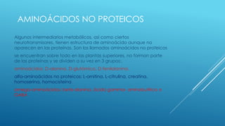 AMINOÁCIDOS NO PROTEICOS
Algunos intermediarios metabólicos, así como ciertos
neurotransmisores, tienen estructura de aminoácido aunque no
aparecen en las proteínas. Son los llamados aminoácidos no proteicos
se encuentran sobre todo en las plantas superiores, no forman parte
de las proteínas y se dividen a su vez en 3 grupos:.
aminoácidos: D-alanina, D-glutámico, D-fenilalanina.
alfa-aminoácidos no proteicos: L-ornitina, L-citrulina, creatina,
homoserina, homocisteína
omega-aminoácidos: beta-alanina, ácido gamma- aminobutírico o
GABA
 