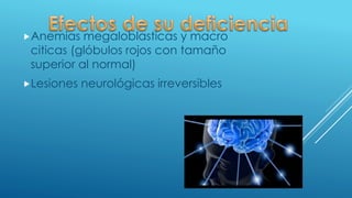 Anemias megaloblasticas y macro
citicas (glóbulos rojos con tamaño
superior al normal)
Lesiones neurológicas irreversibles
 