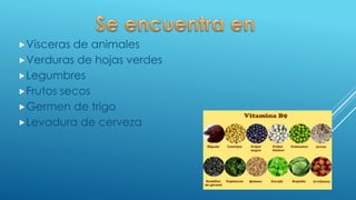 Vísceras de animales
Verduras de hojas verdes
Legumbres
Frutos secos
Germen de trigo
Levadura de cerveza
 