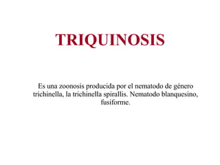 TRIQUINOSIS Es una zoonosis producida por el nematodo de género trichinella, la trichinella spirallis. Nematodo blanquesino, fusiforme. 