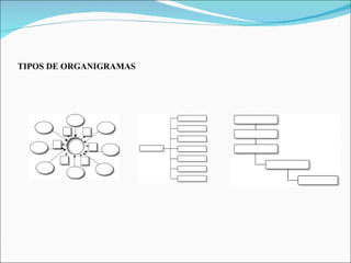 TIPOS DE ORGANIGRAMAS 