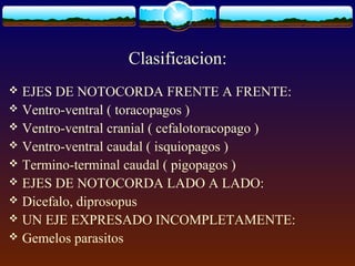 Clasificacion:
 EJES DE NOTOCORDA FRENTE A FRENTE:
 Ventro-ventral ( toracopagos )
 Ventro-ventral cranial ( cefalotora...