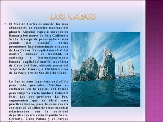 El Mar de Cortés es uno de los más abundantes en especies marinas del planeta. Algunos especialistas suelen llamar a los mares de Baja California Sur la "trampa de peces natural más grande del planeta". Varios promotores han denominado a la zona de Los Cabos "la capital mundial del marlín", aunque en realidad, la auténtica e internacionalmente famosa "capital del marlín" es el área de Cabo del Este, ubicada cerca del Trópico de Cáncer, a 120 kilómetros de La Paz y a 97 de San José del Cabo. La Paz es otro lugar imprescindible para todo pescador. Muchos se embarcan en la capital del Estado para dirigirse hacia rumbo a Cabo del Este. Los que prefieren La Paz, argumentan que es ideal para practicar buceo, pues la zona cuenta con más de 25 sitios de clase mundial relacionados con la actividad deportiva; cerca están Espíritu Santo, Cerralvo, Cabo Pulmo y el Parque Marino Nacional. 
