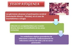 FISIOPATOGENIA


Los gérmenes alcanzan el parénquima cerebral
(inoculación directa – fístulas), en el caso de
traumatismos o cirugía


     Infección en contigüidad (bien por invasión
     directa, bien por tromboflebitis de las venas
     emisarias)


                  Por embolismos sépticos procedentes de
               infecciones a distancia. Tradicionalmente las
                infecciones crónicas del oído y de los senos
                                paranasales
 