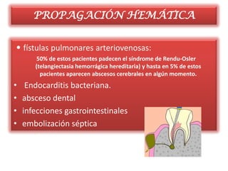 PROPAGACIÓN HEMÁTICA


• fístulas pulmonares arteriovenosas:
        50% de estos pacientes padecen el síndrome de Rendu-Osler
       (telangiectasia hemorrágica hereditaria) y hasta en 5% de estos
         pacientes aparecen abscesos cerebrales en algún momento.
•    Endocarditis bacteriana.
•   absceso dental
•   infecciones gastrointestinales
•   embolización séptica
 
