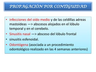 PROPAGACIÓN POR CONTIGUIDAD


• infecciones del oído medio y de las celdillas aéreas
  mastoideas —> abscesos alojados en el lóbulo
  temporal y en el cerebelo.
• Sinusitis nasal —> absceso del lóbulo frontal
• sinusitis esfenoidal.
• Odontógena (asociada a un procedimiento
  odontológico realizado en las 4 semanas anteriores)
 