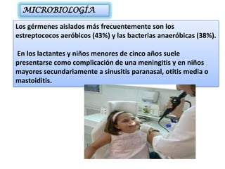 MICROBIOLOGÍA

Los gérmenes aislados más frecuentemente son los
estreptococos aeróbicos (43%) y las bacterias anaeróbicas (38%).

En los lactantes y niños menores de cinco años suele
presentarse como complicación de una meningitis y en niños
mayores secundariamente a sinusitis paranasal, otitis media o
mastoiditis.
 