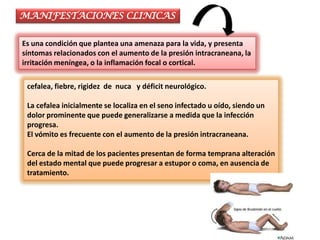 MANIFESTACIONES CLINICAS


Es una condición que plantea una amenaza para la vida, y presenta
síntomas relacionados con el aumento de la presión intracraneana, la
irritación meníngea, o la inflamación focal o cortical.

 cefalea, fiebre, rigidez de nuca y déficit neurológico.

 La cefalea inicialmente se localiza en el seno infectado u oído, siendo un
 dolor prominente que puede generalizarse a medida que la infección
 progresa.
 El vómito es frecuente con el aumento de la presión intracraneana.

 Cerca de la mitad de los pacientes presentan de forma temprana alteración
 del estado mental que puede progresar a estupor o coma, en ausencia de
 tratamiento.
 