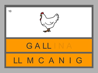 LL M C A N I G
G A LL I N A
10
 