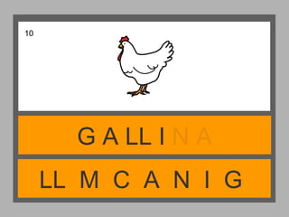 LL M C A N I G
G A LL I N A
10
 