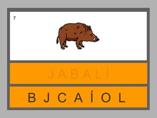 B J C A Í O L
J A B A L Í
7
 