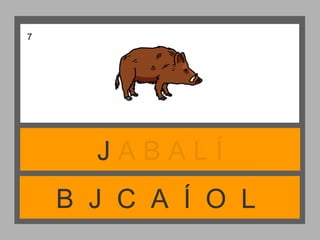 B J C A Í O L
J A B A L Í
7
 
